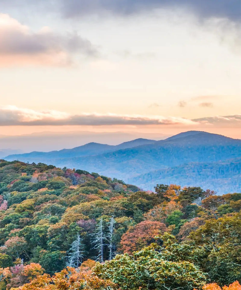 Smoky Mountains At Fall Wall Art