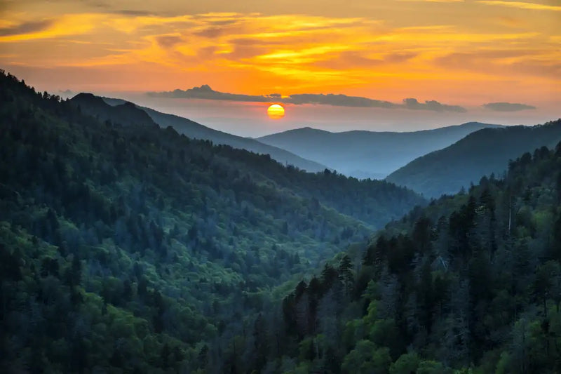 Smoky Mountains National Park Wall Art