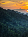 Smoky Mountains National Park Wall Art