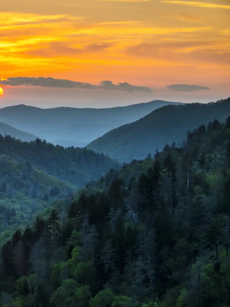 Smoky Mountains National Park Wall Art