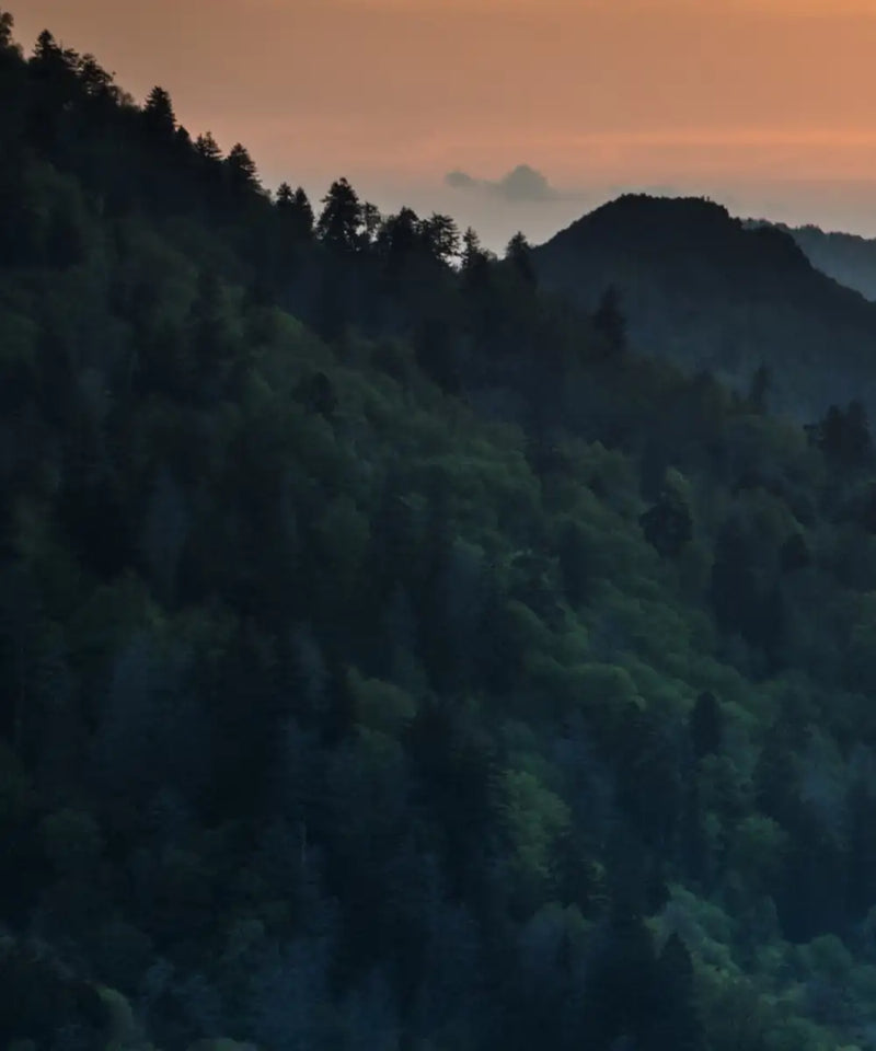 Smoky Mountains National Park Wall Art