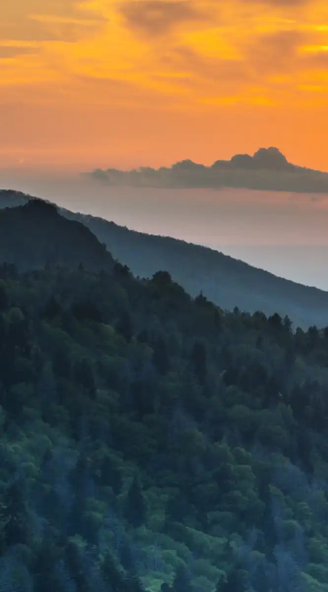 Smoky Mountains National Park Wall Art