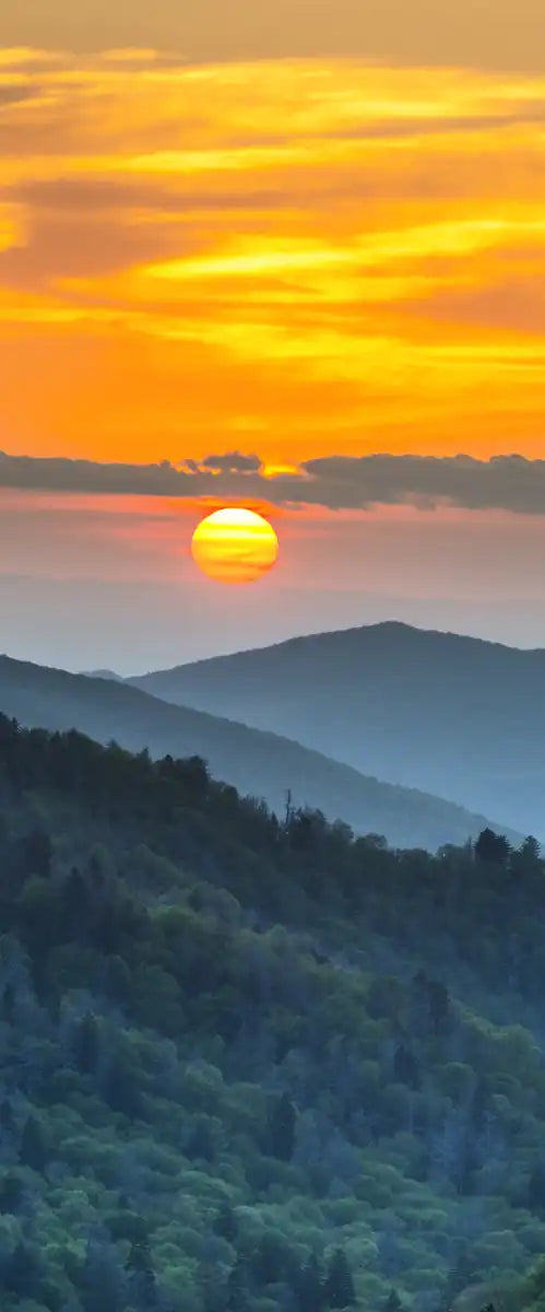 Smoky Mountains National Park Wall Art