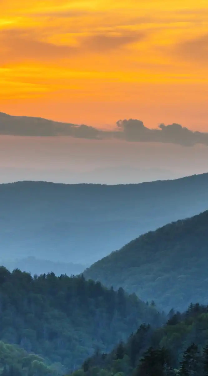 Smoky Mountains National Park Wall Art