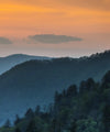 Smoky Mountains National Park Wall Art