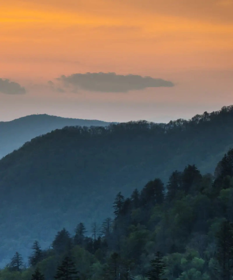 Smoky Mountains National Park Wall Art