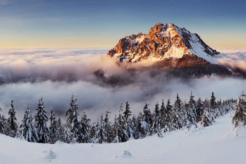 Snow Mountain Sunset Wall Art