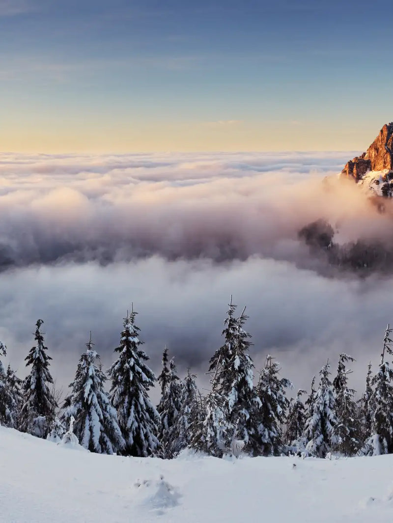 Snow Mountain Sunset Wall Art