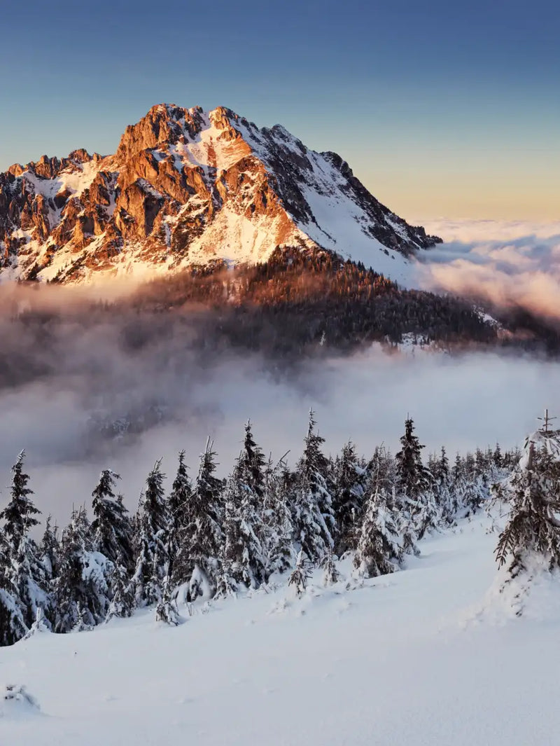Snow Mountain Sunset Wall Art