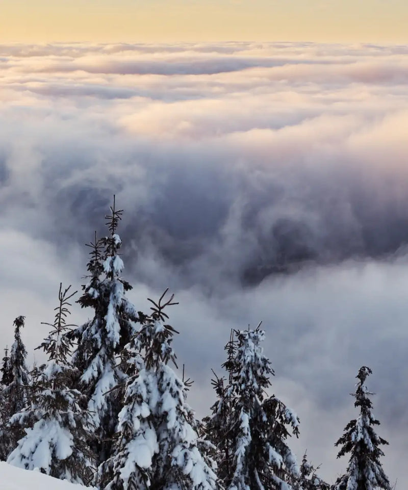 Snow Mountain Sunset Wall Art