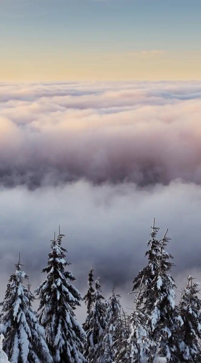 Snow Mountain Sunset Wall Art