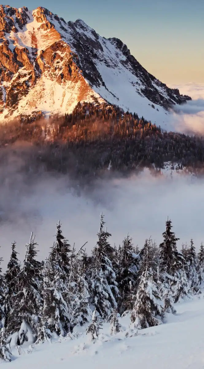 Snow Mountain Sunset Wall Art