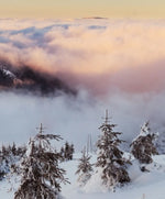 Snow Mountain Sunset Wall Art