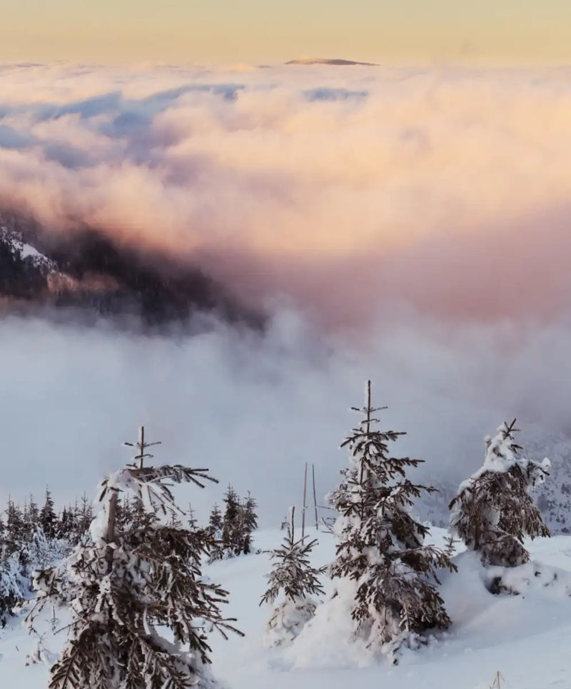 Snow Mountain Sunset Wall Art
