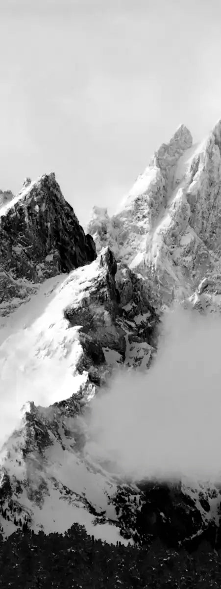 Snowcapped Grand Tetons Wall Art
