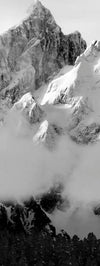 Snowcapped Grand Tetons Wall Art