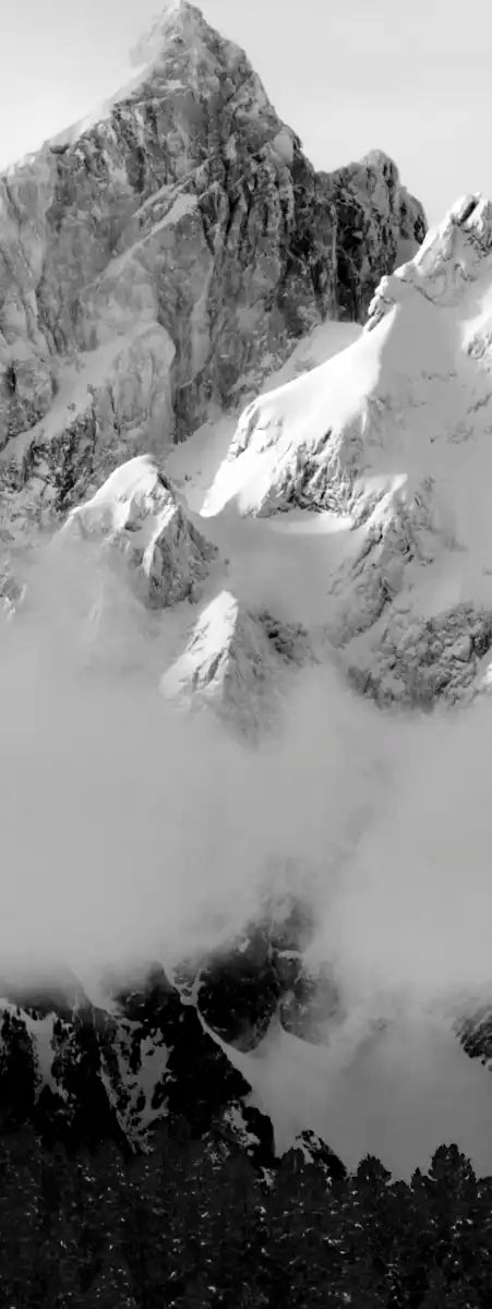 Snowcapped Grand Tetons Wall Art