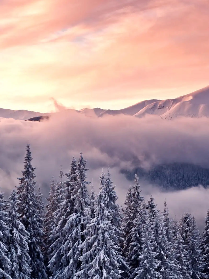 Snowy Mountain At Sunset Wall Art