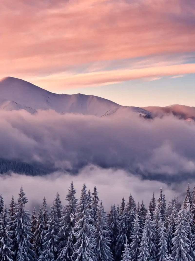 Snowy Mountain At Sunset Wall Art