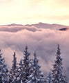 Snowy Mountain At Sunset Wall Art