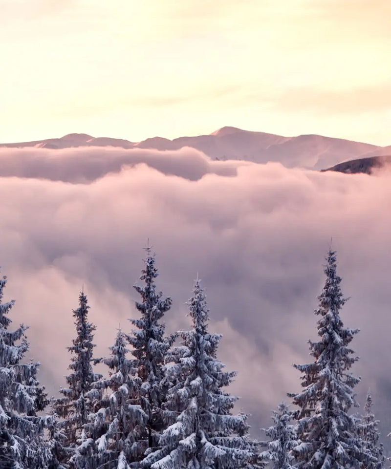 Snowy Mountain At Sunset Wall Art