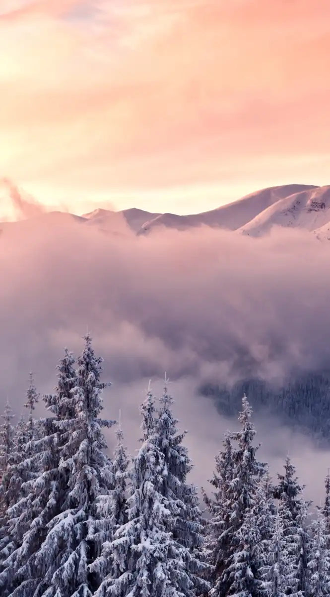 Snowy Mountain At Sunset Wall Art
