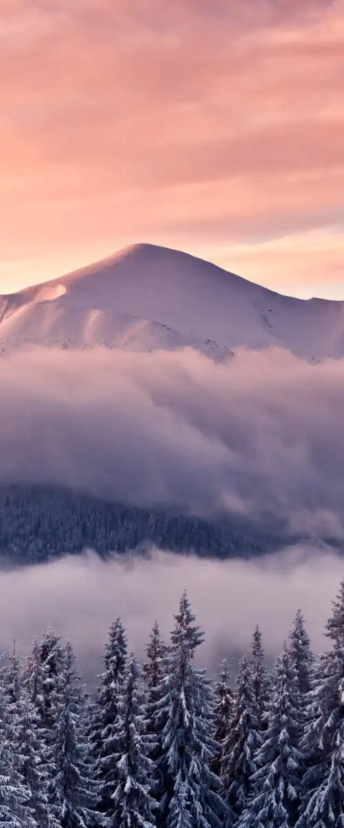 Snowy Mountain At Sunset Wall Art