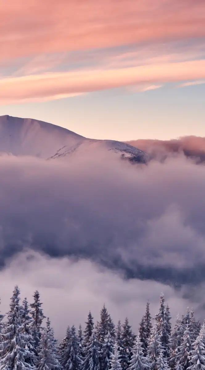 Snowy Mountain At Sunset Wall Art