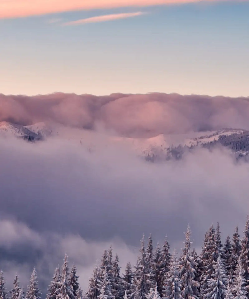 Snowy Mountain At Sunset Wall Art