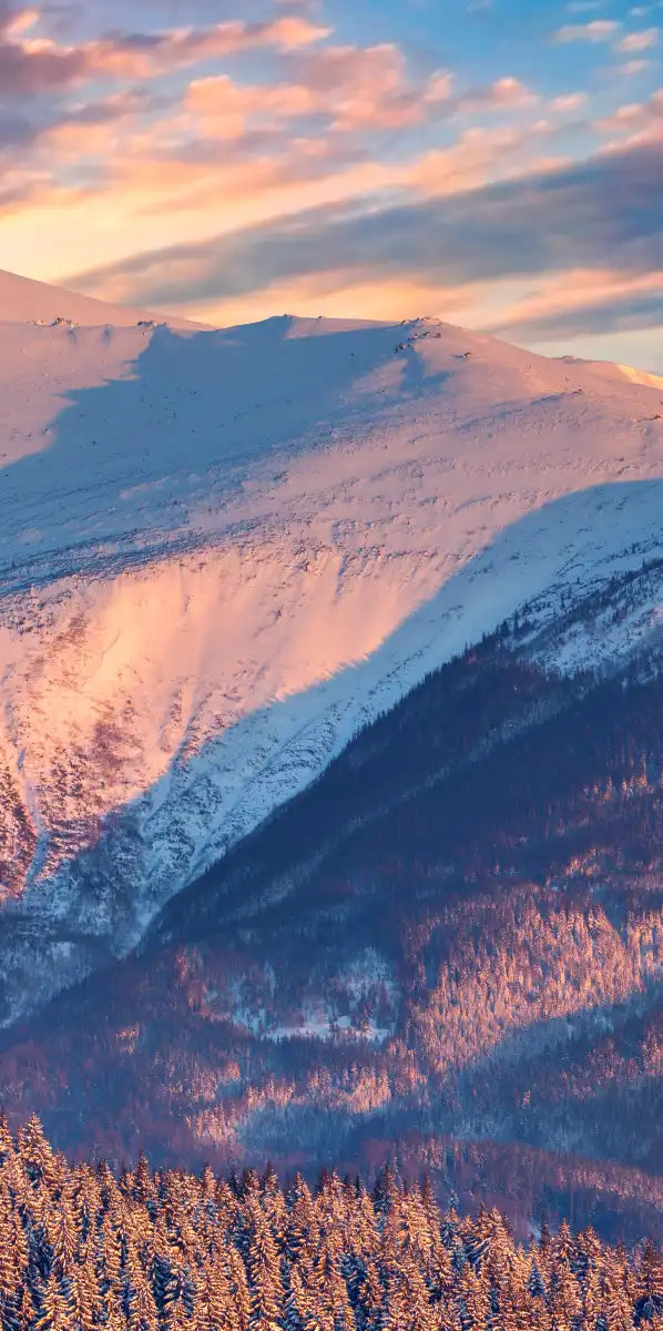 Snowy Mountain Sunrise Wall Art