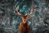 Snowy Noble Deer Wall Art