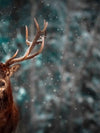 Snowy Noble Deer Wall Art