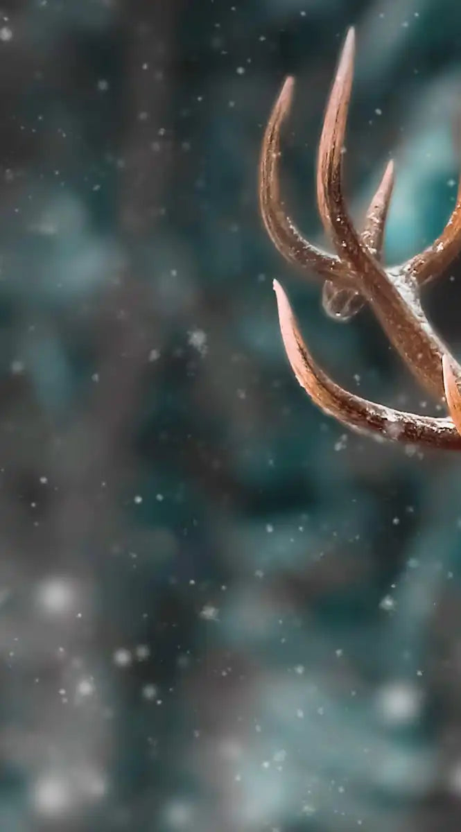 Snowy Noble Deer Wall Art