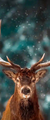Snowy Noble Deer Wall Art