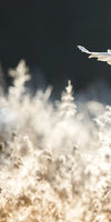 Snowy Owl Hunt Wall Art