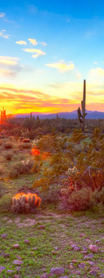 Sonoran Desert Sunset Landscape Wall Art