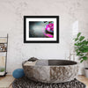 Spa Fusion Wall Art
