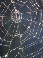 Spider Web Wall Art