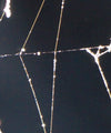 Spider Web Wall Art