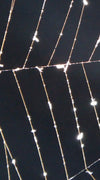 Spider Web Wall Art