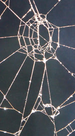 Spider Web Wall Art
