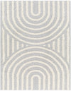 Arnel Gray & Beige Area Rug