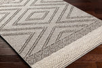 Beige Gray Areli Area Rug