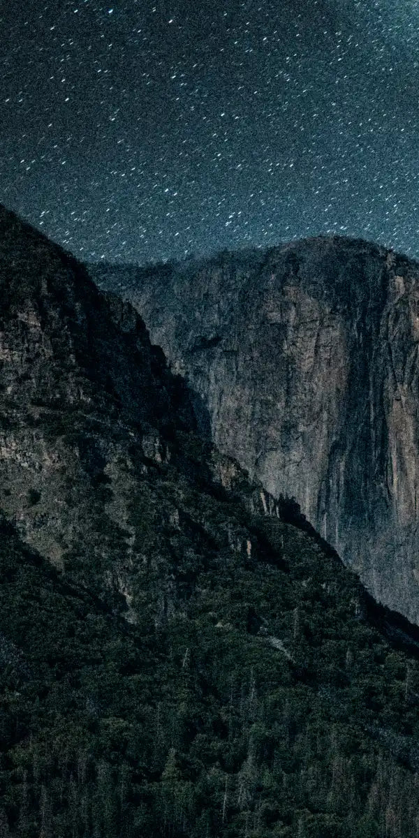 Stargazing At Yosemite Wall Art