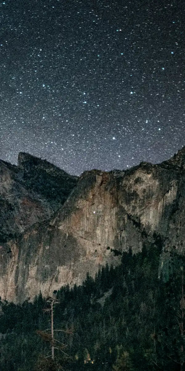 Stargazing At Yosemite Wall Art