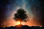 Starry Tree Wall Art