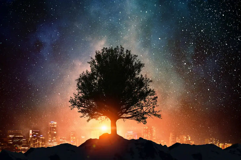 Starry Tree Wall Art