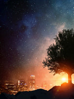 Starry Tree Wall Art