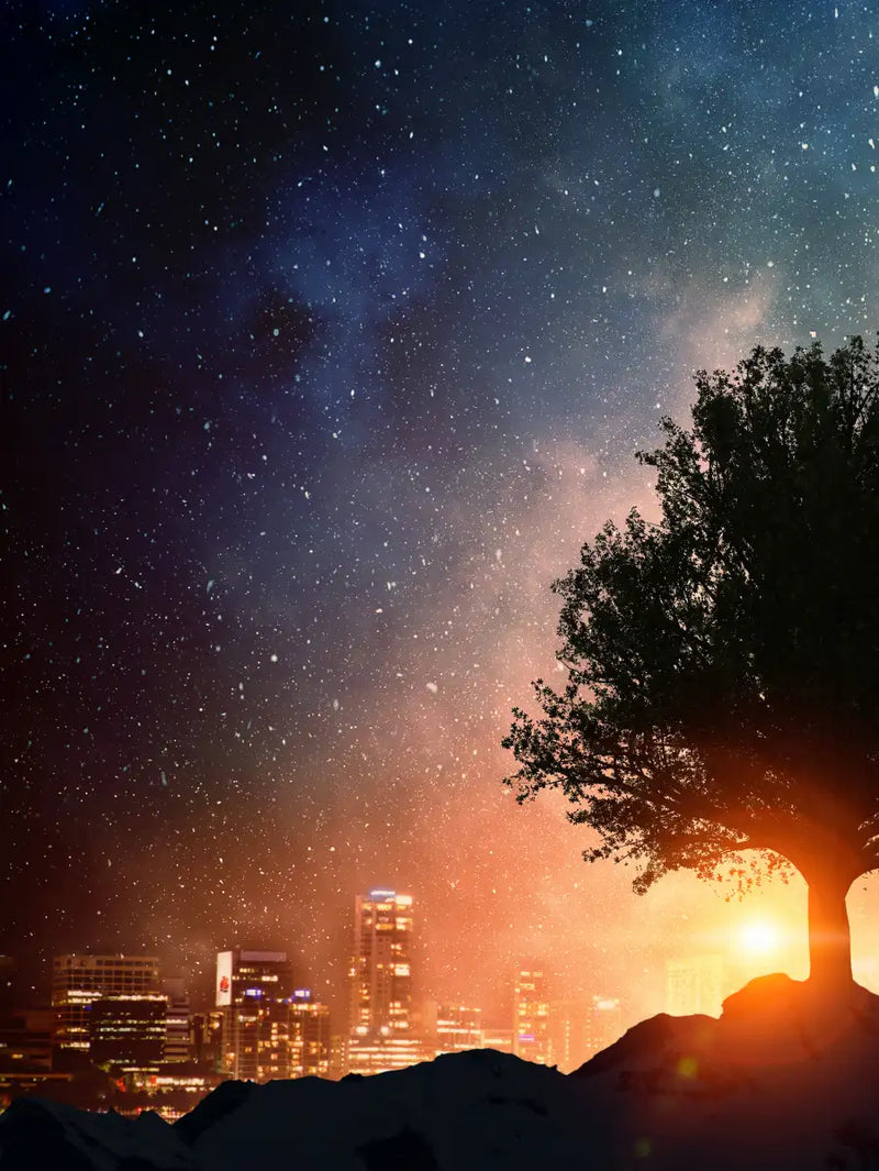 Starry Tree Wall Art