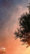 Starry Tree Wall Art